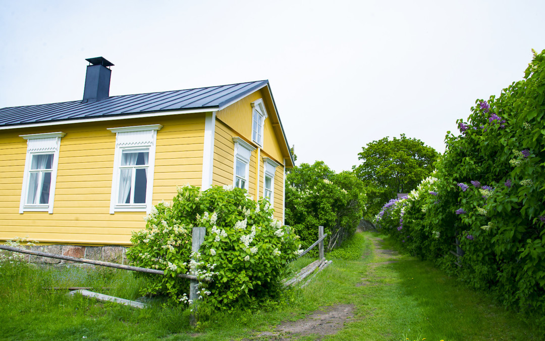 Meriristeily Tammion kalastajakylään 7.5.2023